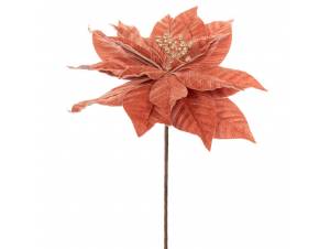 Κοράλλι αλεξανδρινό πικ...