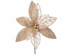 Σαμπανί αλεξανδρινό κλαδί...