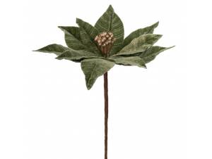 Πράσινο αλεξανδρινό πικ...