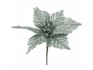 Βεραμάν αλεξανδρινό πικ...