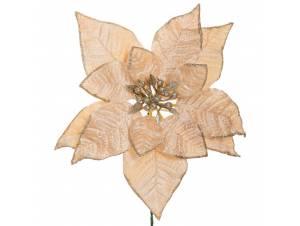 Σαμπανί αλεξανδρινό πικ...