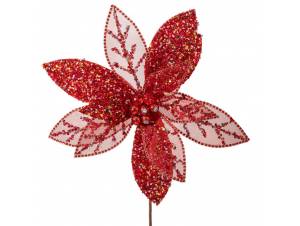 Κόκκινο αλεξανδρινό κλαδί...