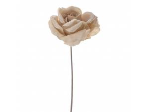 Τριαντάφυλλο πικ εκρού με...