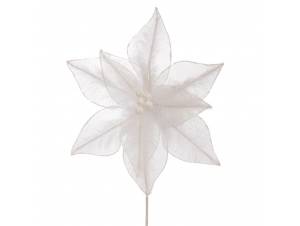 Λευκό αλεξανδρινό κλαδί με...