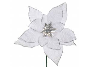 Λευκό αλεξανδρινό πικ...