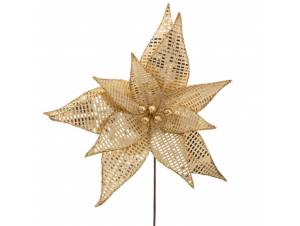 Χρυσό αλεξανδρινό κλαδί με...