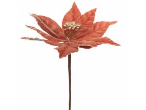 Κοράλλι αλεξανδρινό πικ...