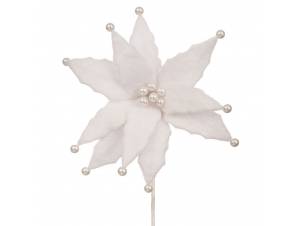 Λευκό αλεξανδρινό κλαδί...