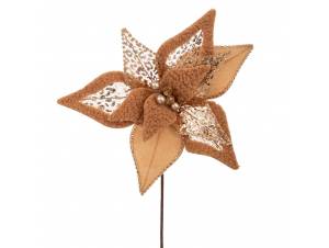 Σαμπανί αλεξανδρινό κλαδί...