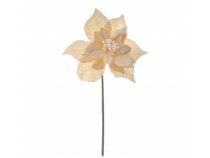 Αλεξανδρινό πικ εκρού με...