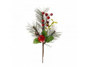 Πικ με ρόδι και...