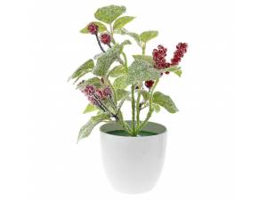 Γλαράκι με παγωμένα γκι 23 εκ.