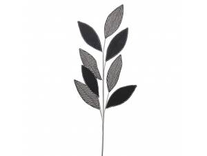 Ασπρόμαυρο βελούδο φύλλα...