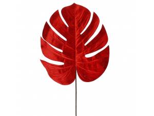 Κόκκινο φύλλο μίνστερ 65 εκ.