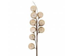 Σαμπανί κλαδί με 9...