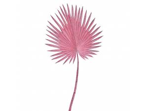 Ροζ φύλλο φοίνικα 86 εκ.