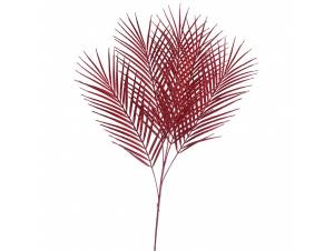 Κόκκινη αρέκα φύλλα χ5 97 εκ.