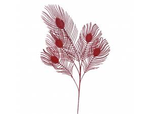 Κόκκινα φτερά παγωνιού χ5...