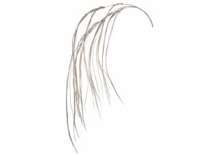 Σαμπανί κρεμαστό κλαδί 120 εκ.