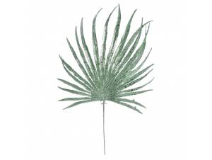 Βεραμάν γκλίτερ κλαδί...