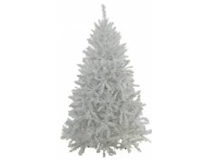 Λευκό - Ιριζέ...