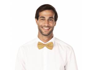 Παπιγιόν Χρυσό