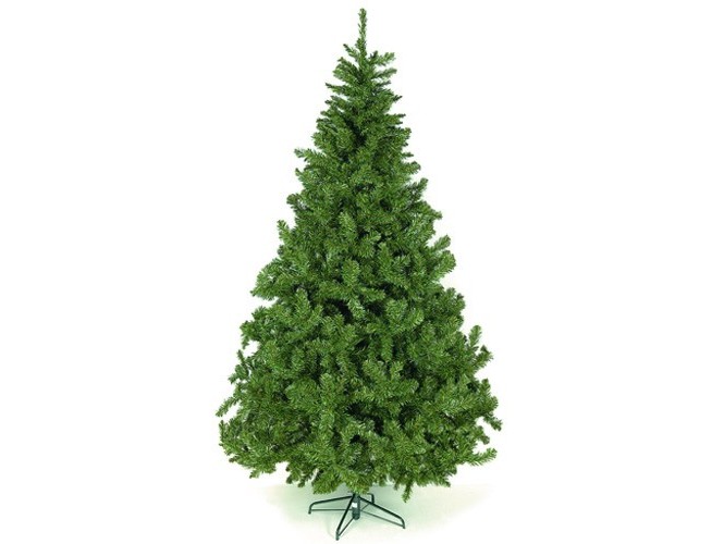 Χριστουγεννιάτικο-Δέντρο-Eastern-Spruce-240
