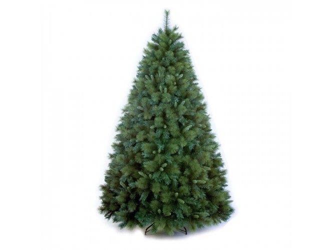 Χριστουγεννιάτικο-Δέντρο-Mixed-Carolina-240-m