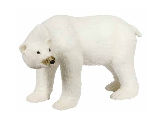 Πολική Αρκούδα 149 εκατοστά