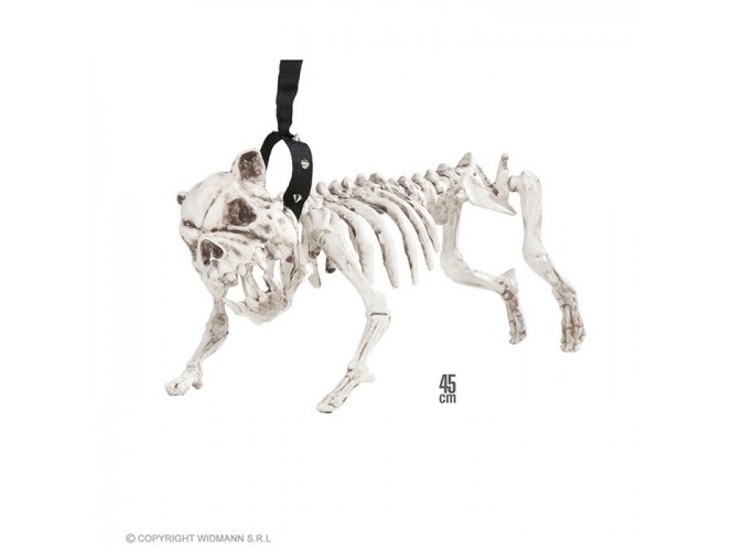 Αποκριάτικο σκυλί σκελετός με λουρί