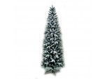 χριστουγεννιάτικο-δέντρο-norway-fir-240-m