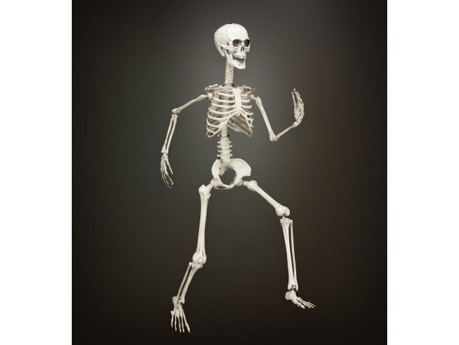 Σκελετός διακόσμησης  90 εκ.