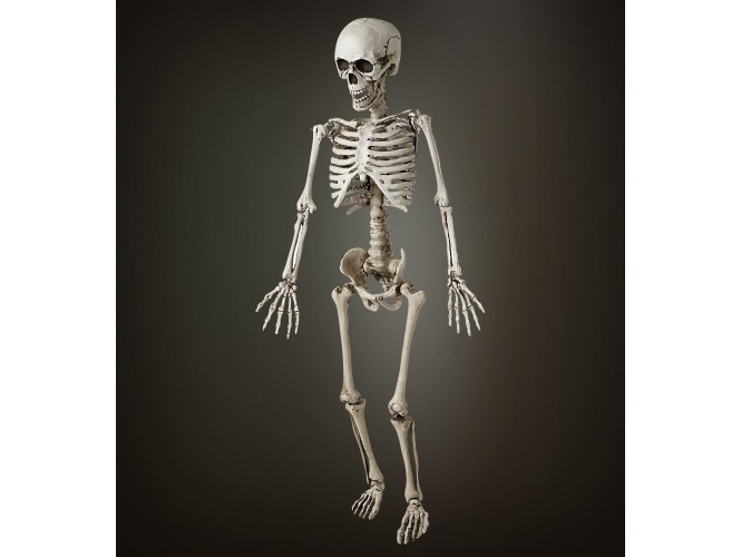 Σκελετός διακόσμησης  120 εκ.