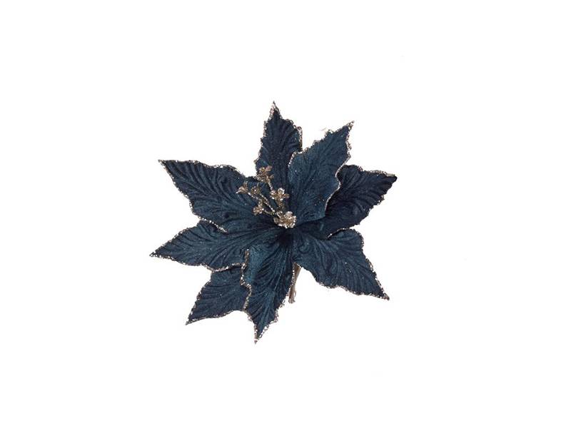 Χριστουγεννιάτικο Λουλούδι Αλεξανδρινό Σκούρο Μπλε