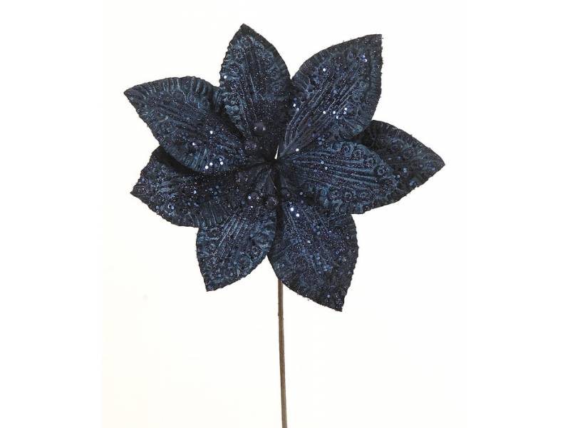 Λουλούδι μπλε πουανσέτια
