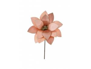 Χριστουγεννιάτικο λουλούδι με κλαδί