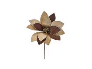 Χριστουγεννιάτικο λουλούδι με κλαδί