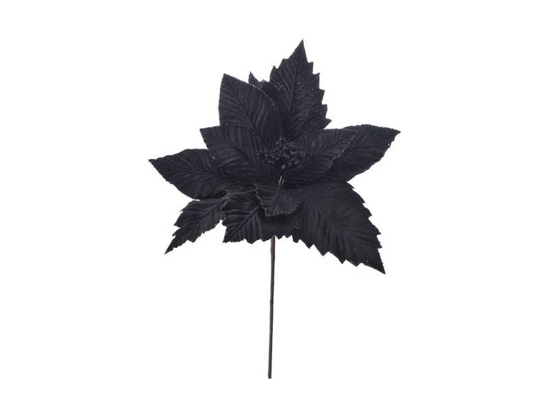 Διακοσμητικό λουλούδι αλεξανδρινό μαύρο