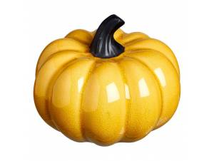 Κολοκύθα διακόσμησης