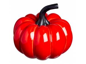 Κολοκύθα διακόσμησης