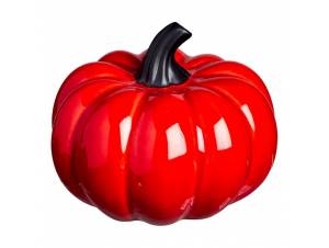 Κολοκύθα διακόσμησης