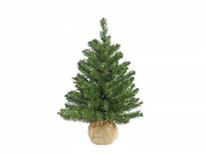 xristoygenniatika-dentrakia-bigstore