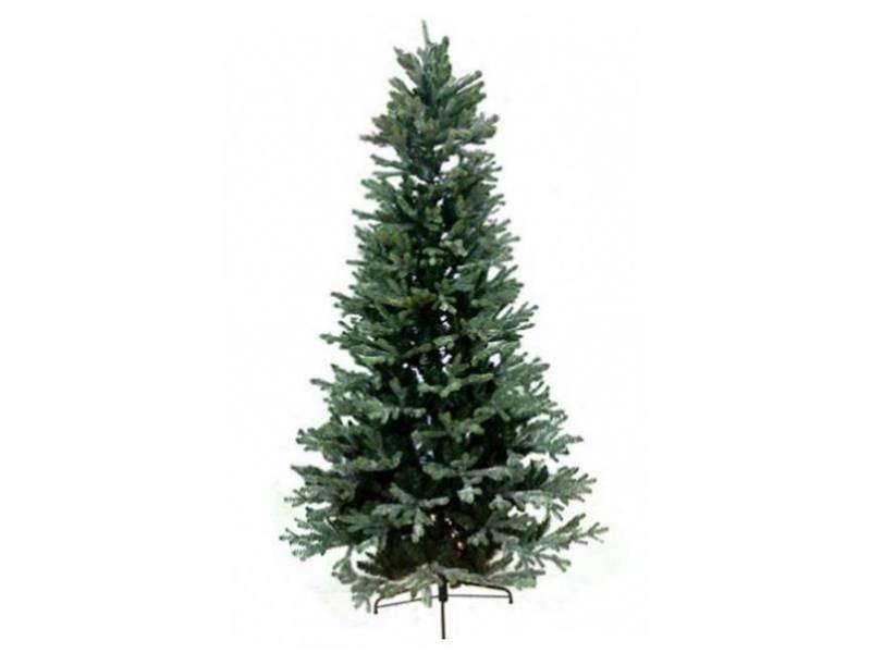 χριστουγεννιάτικο-δέντρο-pindos-240-μ