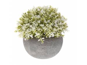 ΔΙΑΚΟΣΜΗΤΙΚΟ ΚΑΣΠΩ ΜΕ...