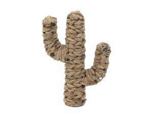 ΔΙΑΚΟΣΜΗΤΙΚΟΣ ΚΑΚΤΟΣ, ΨΑΘΙΝΟΣ