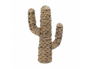 ΔΙΑΚΟΣΜΗΤΙΚΟΣ ΚΑΚΤΟΣ, ΨΑΘΙΝΟΣ