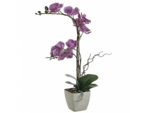 ΔΙΑΚΟΣΜΗΤΙΚΟ ΛΟΥΛΟΥΔΙ ΣΕ...